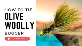 Olive WOOLLY BUGGER Fly Tying Tutorial [upl. by Rida521]