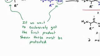 Amino Acid Synthesis and Peptide Synthesis [upl. by Pritchett16]