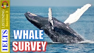 Real IELTS Listening Test  Section 3  Whale Survey [upl. by Anrim]