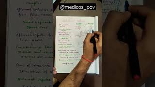 Micturition Reflex  physiology mbbs shortsvideo education medico reels shortvideo [upl. by Sherwin602]