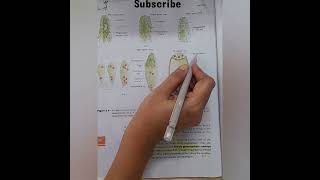 Embryo sac or female gametophyte biology neet ncert cbse [upl. by Divadnahtanoj]