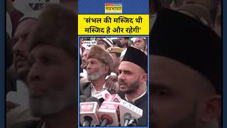 Sambhal Masjid News संभल की मस्जिद पर MP बर्क ने क्या कहा  shorts sambhalmasjidnews upnews sp [upl. by Arekahs]