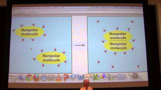 Aherns Biochemistry 1  Aqueous Solutions  pH [upl. by Aryhs592]