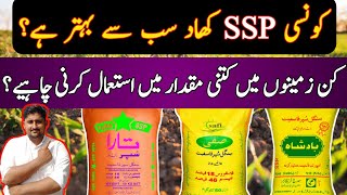 How to use SSP fertilizer  How to use best quality SSP fertilizer  Best SSP fertilizer ssp [upl. by Durno81]