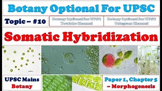 Somatic Hybridization Mechanical Method Enzymatic Method Importance Botany Optional for UPSC [upl. by Benco]