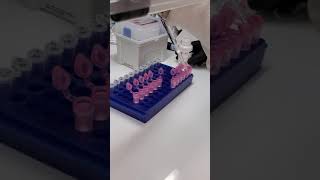 Isolating RNA from primary cells [upl. by Echikson]