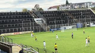 NEUNKIRCHEN VS WIESBACH ⚽️SAARLANDLIGA HIGHLIGHTS I davewave [upl. by Fiorenze689]