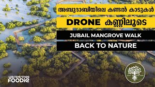 TRAVEL VLOG 84  Jubail Mangrove Park  Hidden Gem Abu Dhabi  Malayalam VLOG [upl. by Simpkins]