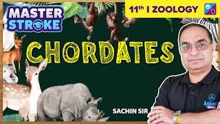 Animal Kingdom Class 11 Biology  Chordates Explained  NEET 2023 Exam  Sachin Sir [upl. by Helbonnas]