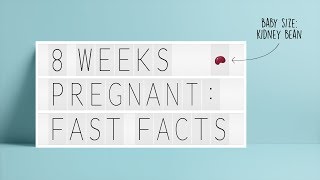 8 weeks pregnant Fast facts [upl. by Asiram]