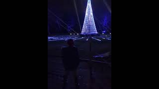 Bute park Christmas lights 2023 butepark christmas lightshow cardiff christmaslights [upl. by Irita]