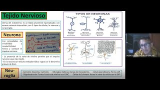 Capítulo 4 Histología Vegetal y Animal de Biología [upl. by Olvan892]