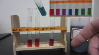 CHM 132  Lab 19  Part C Buffers [upl. by Aihsetal42]