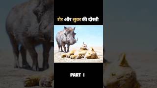 शेर और सुवर की दोस्ती😘  The Lion King  The Lion King trailerThe Lion King movie shorts ytshots [upl. by Sudderth703]