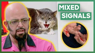 Jackson Galaxy Helps An Aggressive Cat That Keeps Attacking Its Owners  My Cat From Hell [upl. by Iveson612]