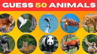 Top 50 Rarest Animals in the World  Rarest Animals Ever  Most Amazing Animals In The World [upl. by Jean-Claude]