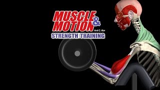 How Strength Training Works Get In Depth Knowledge with our 3D Anatomy Software [upl. by Stephania]