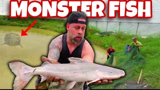 WE got ACCESS to a SECRET MONSTER FISH BREEDING Farm RARE FOOTAGE [upl. by Aneekas]