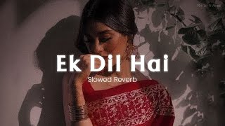 Ek Dil Hai  SlowedReverb Ek Rishtaa  Akshay Kumar Karisma Kapoor  Hindi Romantic Song [upl. by Ysak]