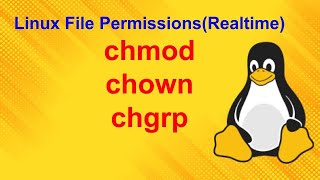 Linux File Permissions  chmod chown chgrp [upl. by Allen950]