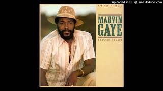 Marvin Gaye B1 Sanctified Lady Instrumental [upl. by Triley774]