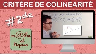 Appliquer le critère de colinéarité  Seconde [upl. by Hobie290]