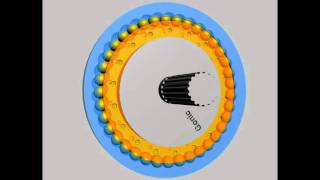 Gonic Cycloidal Drive [upl. by Derrej]