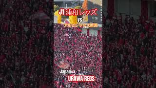 【Japanese sports fans】Urawa Reds have passionate supporters 浦和レッズサポーター urawareds 浦和レッズ fans [upl. by Guy]