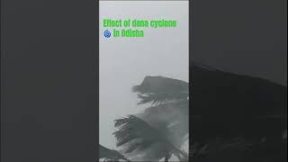 Dana cyclone  effect of dana cyclone in Odisha shorts trending [upl. by Winston]