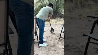 RATTLESNAKE ATTACKshortsvideo youtubeshorts hunting snake [upl. by Simsar]