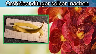 Bananenschale als Dünger für Orchideen – Der beste Orchideendünger – Dünger selber herstellen [upl. by Broek]