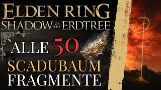 Elden Ring DLC Alle 50 Scadubaum Fragmente [upl. by Appleby]