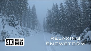 Cozy 3Hour Snowfall Ambience Winter Wonderland Overcome Stress Nature Sounds 4K UHD [upl. by Altaf]