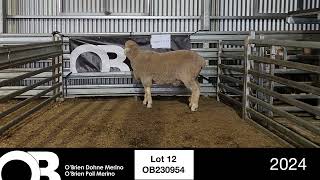 Lot 12  OB230954 [upl. by Gross163]