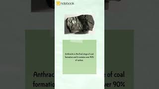 CBSE Class 8 Science  Chapter Coal and Petroleum  Fun Learning with Notebook [upl. by Eimmaj]