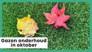 Gazon Onderhoud in Oktober [upl. by Ruffin]