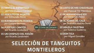 Selección de tanguitos montieleros parte 2 [upl. by Odom527]