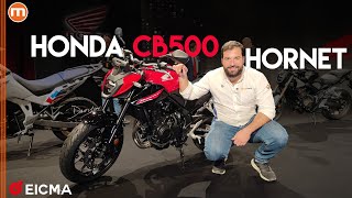 Honda CB500 Hornet 2024  Ecco come cambia la CB500 F a EICMA 2023 [upl. by Avlasor]