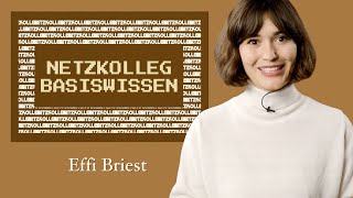 Netzkolleg Basiswissen – Effi Briest Grundlagen der Literaturwissenschaft  Abiturvorbereitung [upl. by Cassilda]