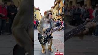 Viral Monyet Main Gitar di Alun Alun Rusia empudstudiogrup empudstudioai shorts [upl. by Golub]