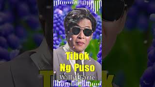 TIBOK NG PUSO  WILLY GARTE  TAGALOG LOVE SONGS 2024 ALL THE TIME [upl. by Aeslehc]