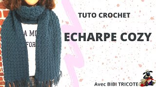 TUTO CROCHET ECHARPE FACILE  ECHARPE COZY [upl. by Kcirdehs797]