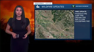 SW Idaho Wildfire Update  862024 [upl. by Davilman]