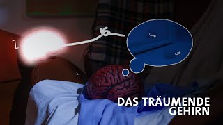 Dr Mondino Das träumende Gehirn [upl. by Iphigeniah701]