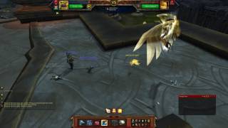 WOW  Pet Battle  All Pets Go to Heaven  Direbeak Team Rumble [upl. by Adnwahsal554]