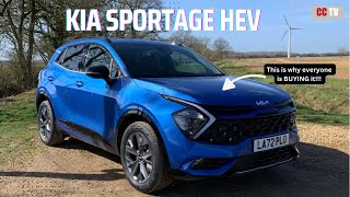 The KIA SPORTAGE is INSANELY Popular  Here are the REASONS WHY [upl. by Cate136]