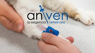 ANIVEN®  La exigencia veterinaria [upl. by Milda]