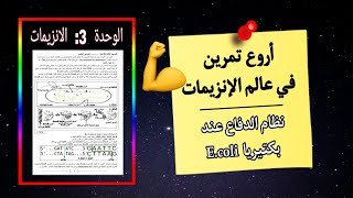 💣 أروع تمرين في عالم الانزيمات😍إنزيمات الحصر والتحويل🔥ستتعلم أشياء كثيرة وجديدة في نفس الوقت [upl. by Bevers]