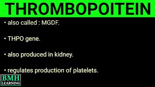 Thrombopoitein  Thrombopoiesis [upl. by Derwood]