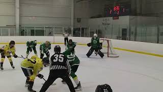 NAHL Combine Highlights [upl. by Juno]